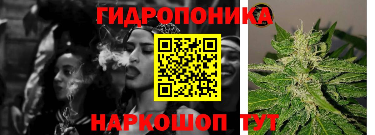 МАРИХУАНА сатива Горячий Ключ