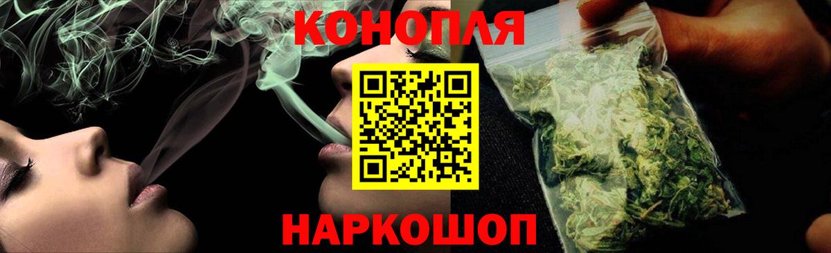 Шишки марихуана тримм  Бошки марихуана планчик  Вход с VPN  Горячий Ключ  Шишки марихуана Bruce Banner 